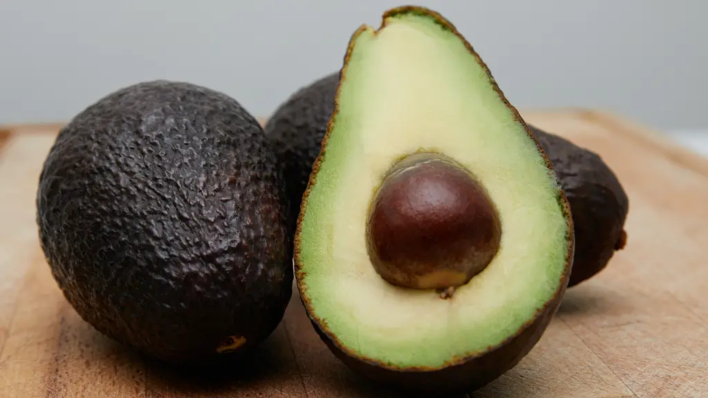 An avocado read to be eaten on the carnivore diet