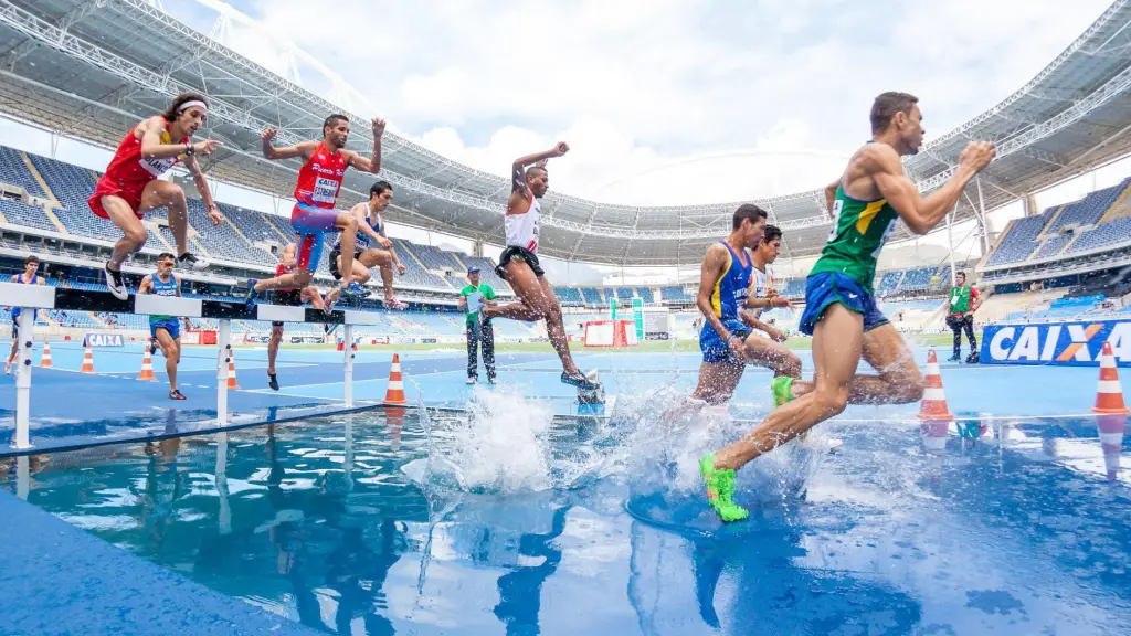 Carnivore athletes running