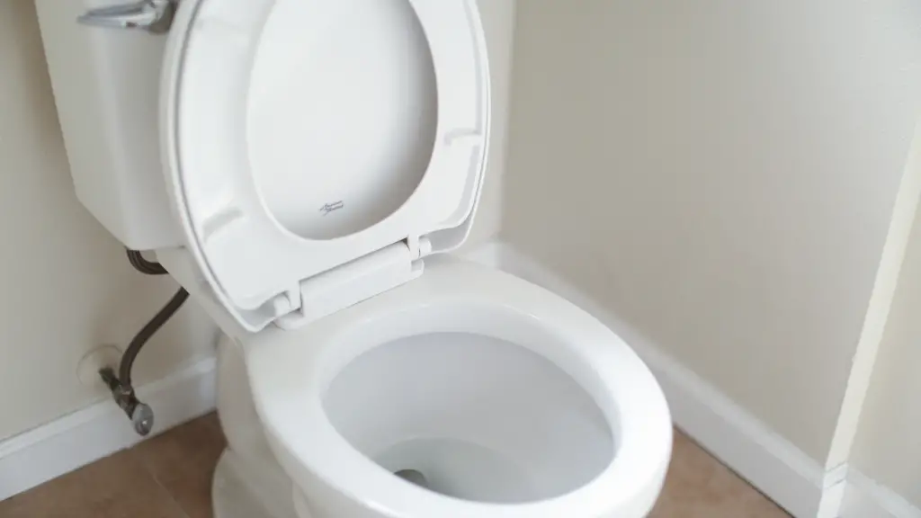 A toilet belonging to a carnivore dieter with constipation