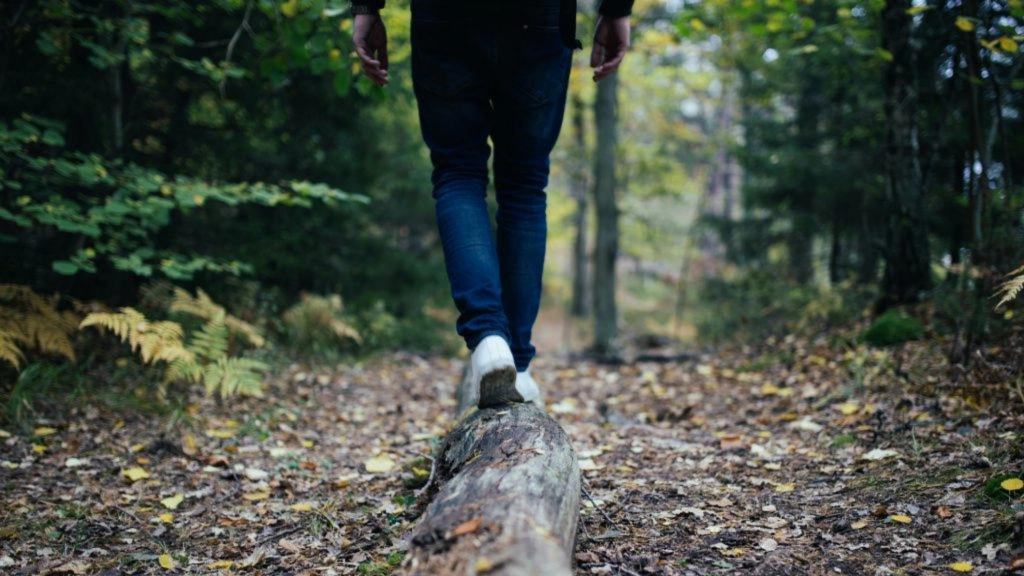 Someone walking in nature