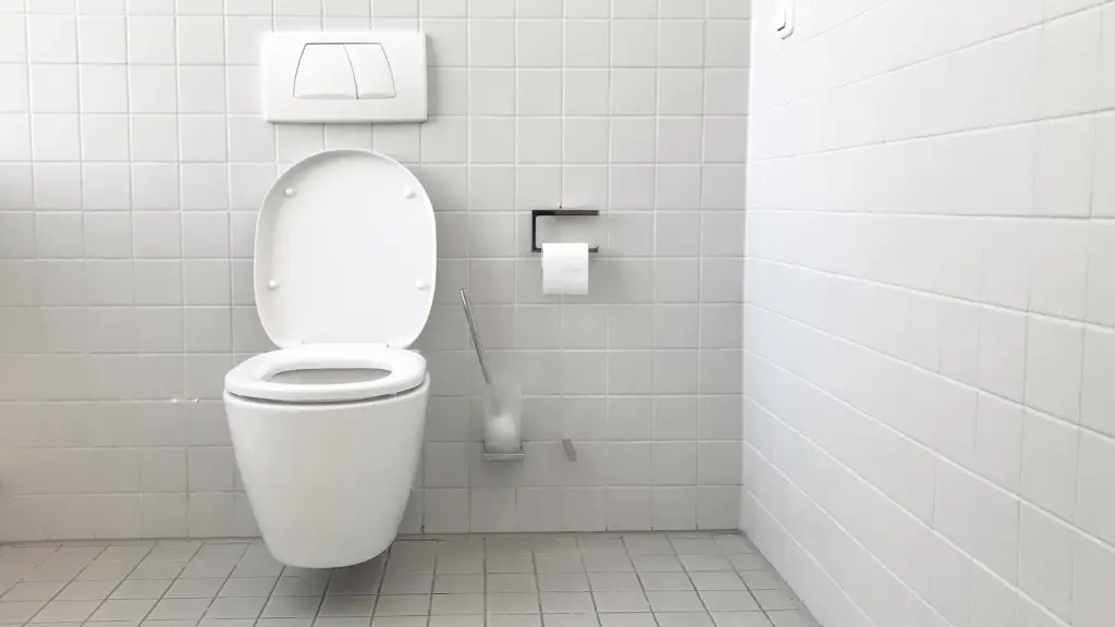 A toilet used by someone with carnivore diet diarrhea