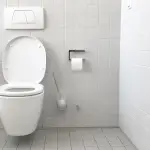 A toilet used by someone with carnivore diet diarrhea