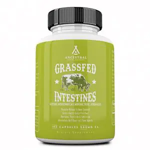 Ancestral Supplements Intestines
