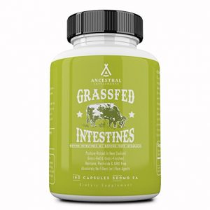 Ancestral Supplements Intestines