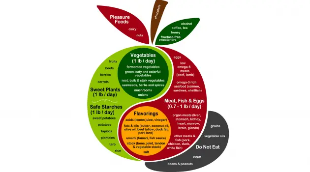 Perfect health Diet food chart